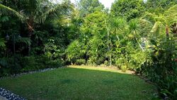 Bukit Timah Road (D10), Detached #498248681